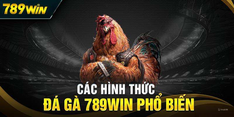 Các hình thức đá gà được khách hàng yêu thích tại nhà cái 789WIN