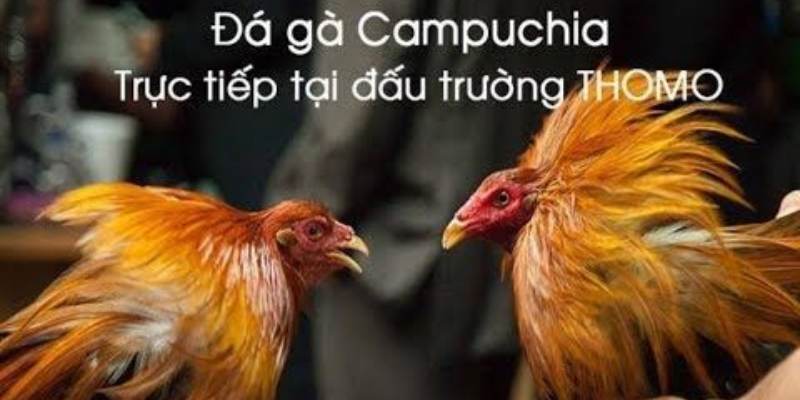 Vô số trận đấu kịch tính diễn ra trong ngày