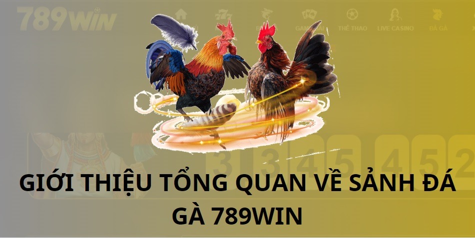 Mọi người nắm bắt lời giới thiệu về sảnh chơi game đá gà 789WIN