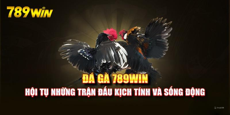 Thế mạnh vượt trội của sảnh chơi game đá gà 789WIN